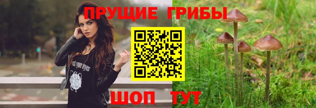 Галлюциногенные грибы мухоморы  Вход с VPN  Лангепас  наркошоп  Галлюциногенные грибы Psilocybine cubensis 